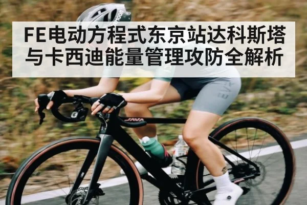 FE电动方程式东京站达科斯塔与卡西迪能量管理攻防全解析
